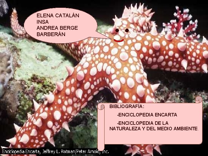 ELENA CATALÁN INSA ANDREA BERGE BARBERÁN BIBLIOGRAFÍA: -ENCICLOPEDIA ENCARTA -ENCICLOPEDIA DE LA NATURALEZA Y