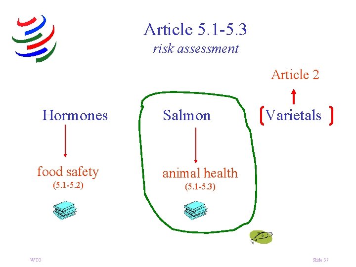 Article 5. 1 -5. 3 risk assessment Article 2 Hormones food safety (5. 1