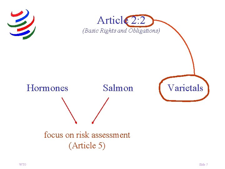 Article 2: 2 (Basic Rights and Obligations) Hormones Salmon Varietals focus on risk assessment