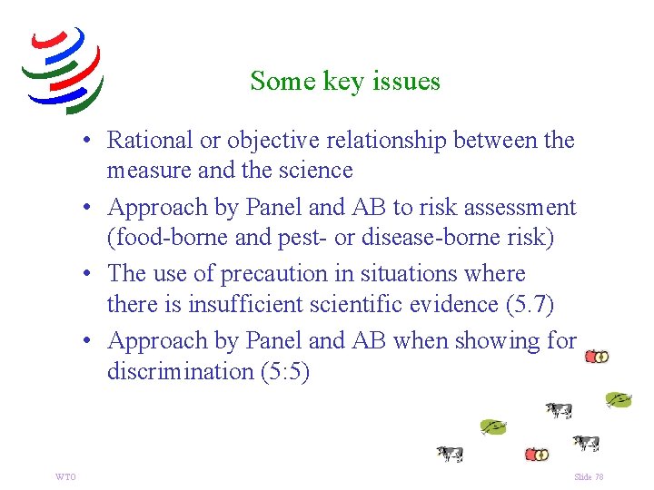 Some key issues • Rational or objective relationship between the measure and the science