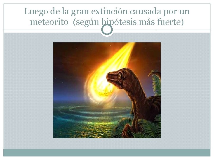 Luego de la gran extinción causada por un meteorito (según hipótesis más fuerte) 