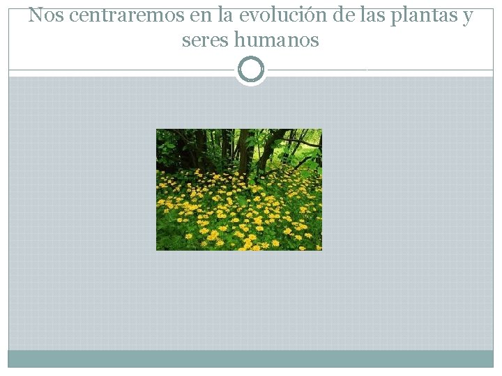 Nos centraremos en la evolución de las plantas y seres humanos 