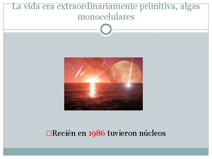 La vida era extraordinariamente primitiva, algas monocelulares �Recién en 1986 tuvieron núcleos 