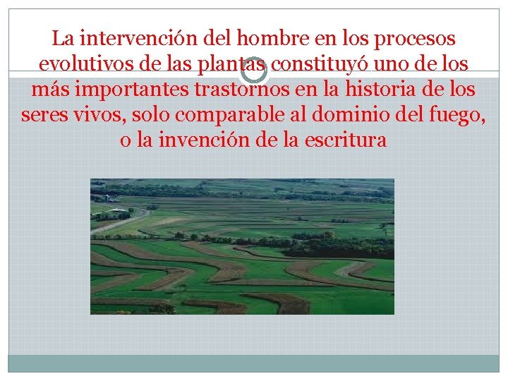 La intervención del hombre en los procesos evolutivos de las plantas constituyó uno de