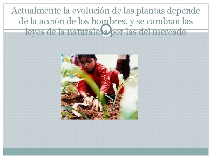 Actualmente la evolución de las plantas depende de la acción de los hombres, y