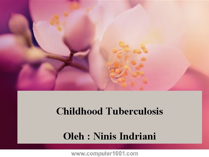 Childhood Tuberculosis Oleh : Ninis Indriani 