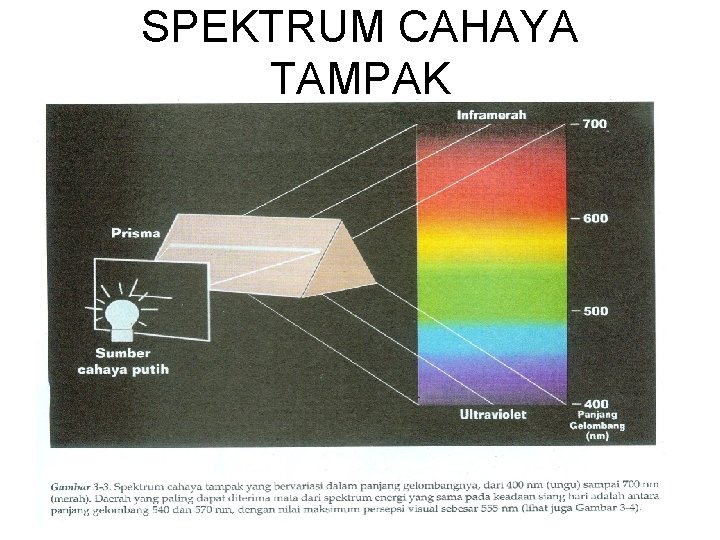 SPEKTRUM CAHAYA TAMPAK 