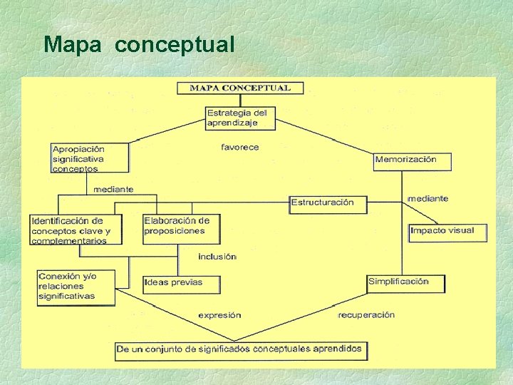 Mapa conceptual 