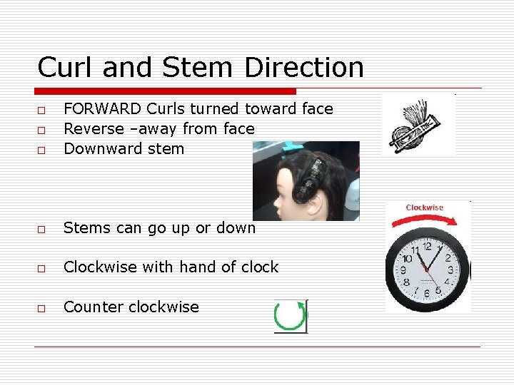 Curl and Stem Direction o FORWARD Curls turned toward face Reverse –away from face