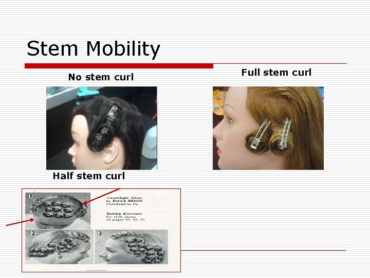 Stem Mobility No stem curl Half stem curl Full stem curl 