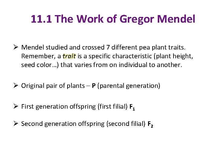 11. 1 The Work of Gregor Mendel Ø Mendel studied and crossed 7 different
