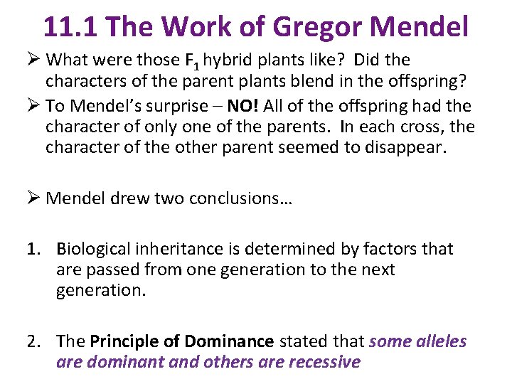 11. 1 The Work of Gregor Mendel Ø What were those F 1 hybrid