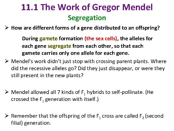 11. 1 The Work of Gregor Mendel Segregation Ø How are different forms of