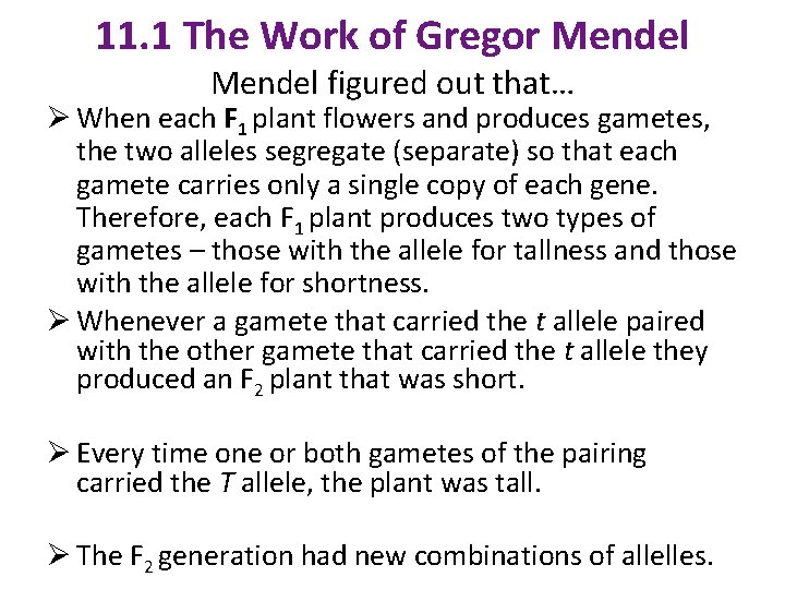 11. 1 The Work of Gregor Mendel figured out that… Ø When each F