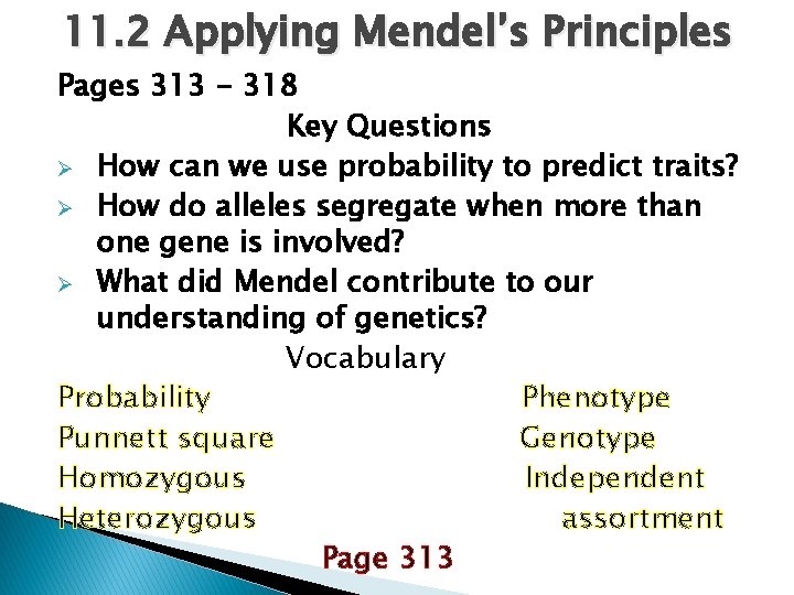 11. 2 Applying Mendel’s Principles Pages 313 - 318 Key Questions Ø How can