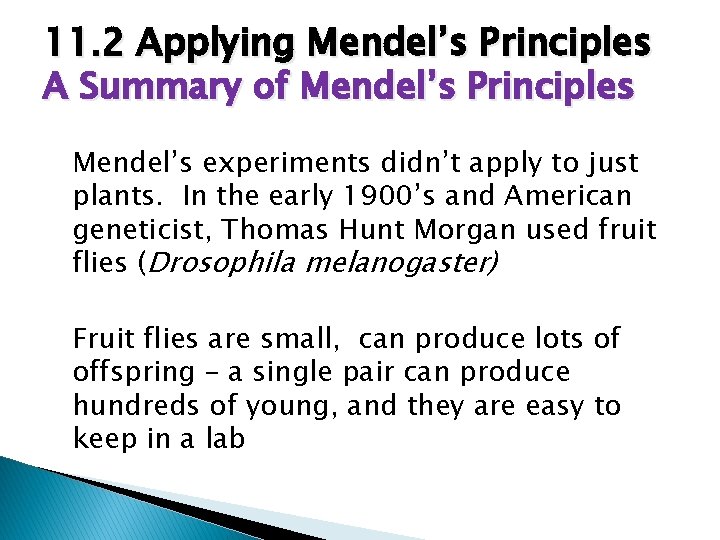 11. 2 Applying Mendel’s Principles A Summary of Mendel’s Principles Mendel’s experiments didn’t apply