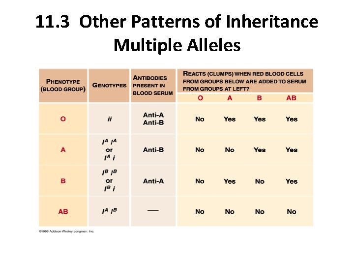 11. 3 Other Patterns of Inheritance Multiple Alleles 