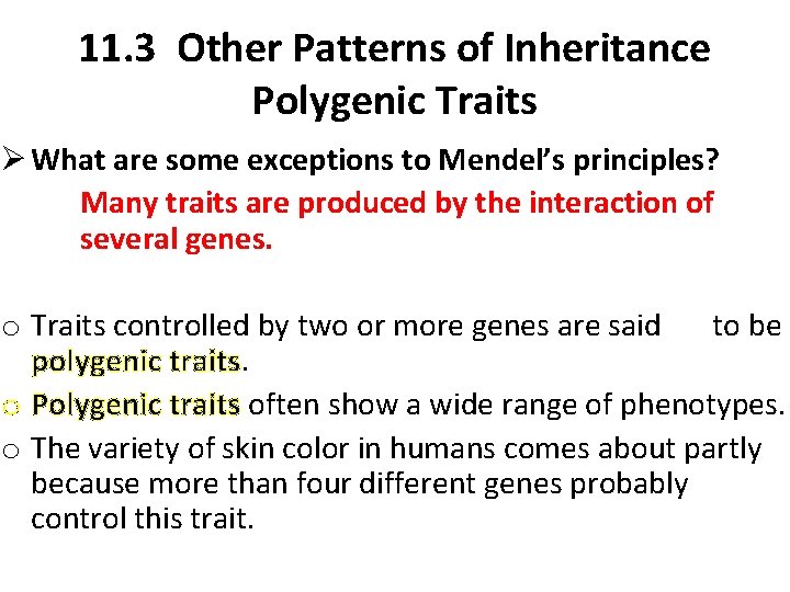 11. 3 Other Patterns of Inheritance Polygenic Traits Ø What are some exceptions to