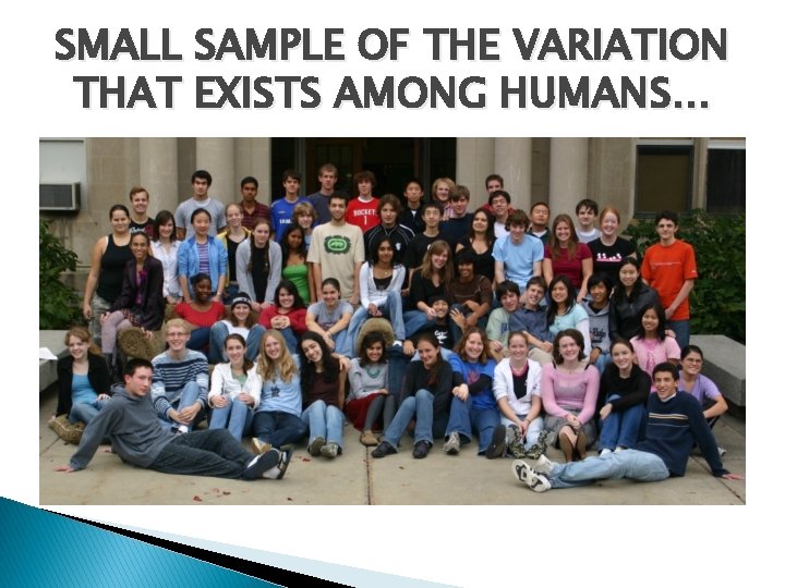 SMALL SAMPLE OF THE VARIATION THAT EXISTS AMONG HUMANS… 