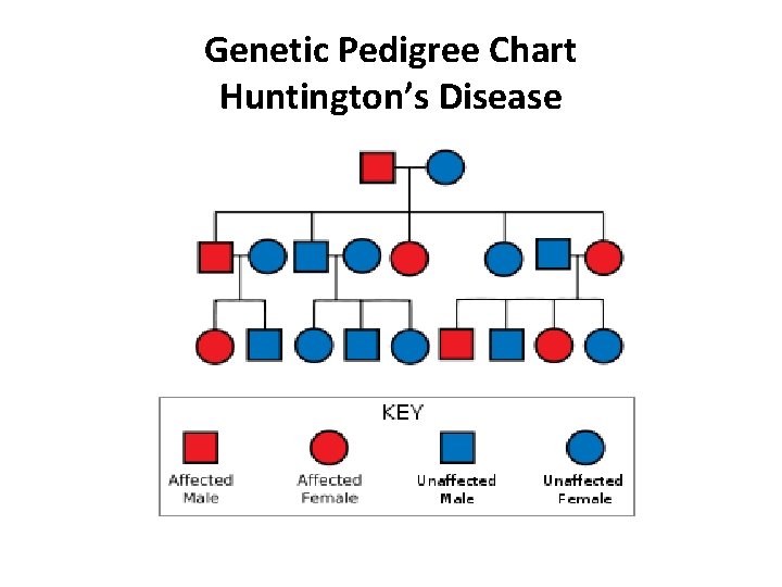 Genetic Pedigree Chart Huntington’s Disease 