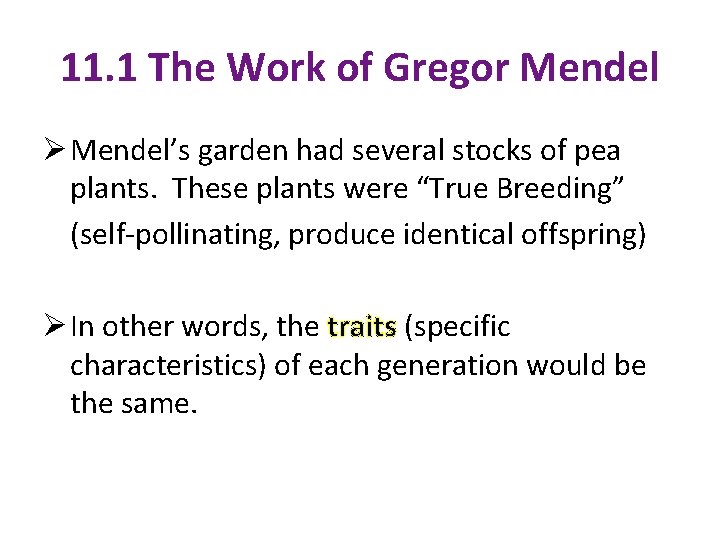 11. 1 The Work of Gregor Mendel Ø Mendel’s garden had several stocks of