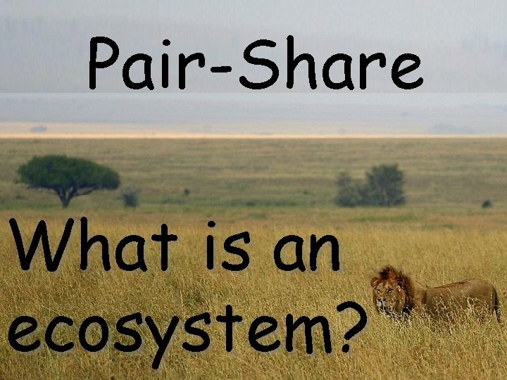 Pair-Share What is an ecosystem? Pair-Share What is an ecosystem?
