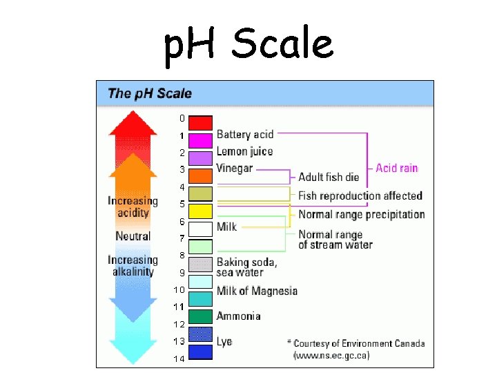 p. H Scale p. H Scale