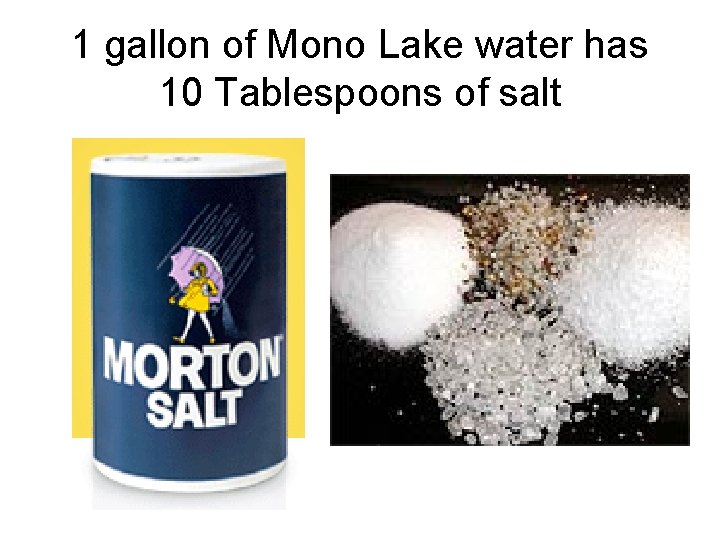 1 gallon of Mono Lake water has 10 Tablespoons of salt 1 gallon of Mono Lake water has 10 Tablespoons of salt