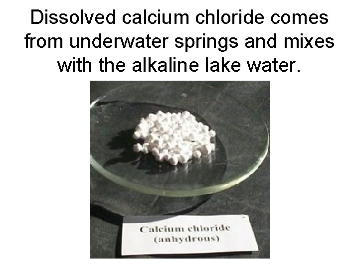 Dissolved calcium chloride comes from underwater springs and mixes with the alkaline lake water. Dissolved calcium chloride comes from underwater springs and mixes with the alkaline lake water.
