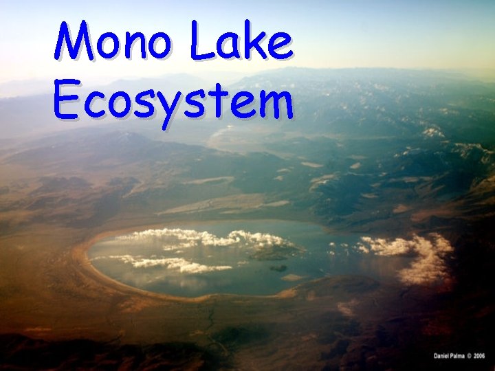 Mono Lake Ecosystem Mono Lake Ecosystem
