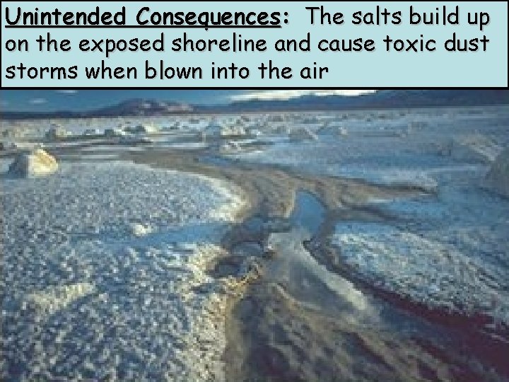 Unintended Consequences: The salts build up on the exposed shoreline and cause toxic dust Unintended Consequences: The salts build up on the exposed shoreline and cause toxic dust