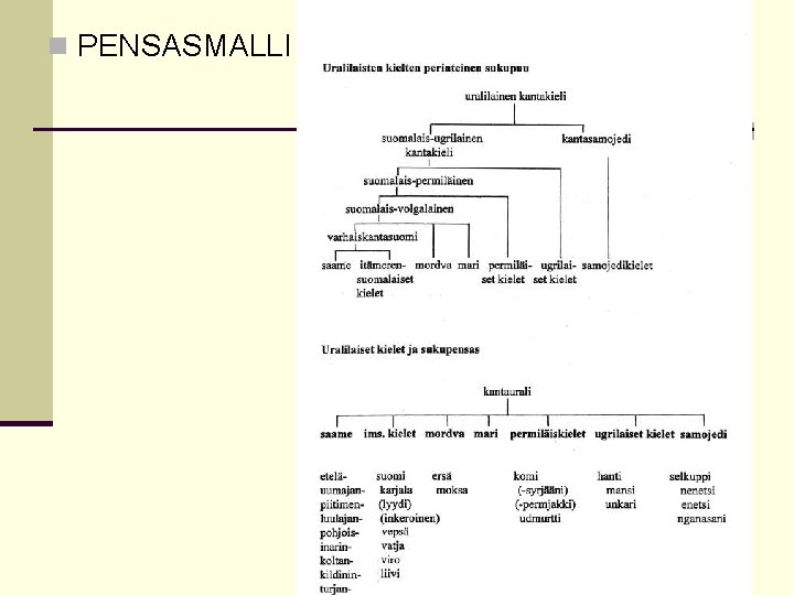 n PENSASMALLI 