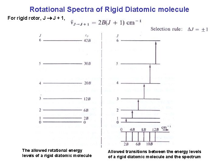 Rotational Spectra of Rigid Diatomic molecule For rigid rotor, J J + 1, The