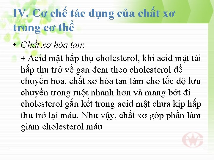 IV. Cơ chế tác dụng của chất xơ trong cơ thể • Chất xơ