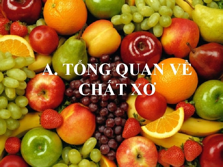 A. TỔNG QUAN VỀ CHẤT XƠ 