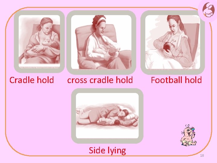 Cradle hold cross cradle hold Football hold Side lying 18 