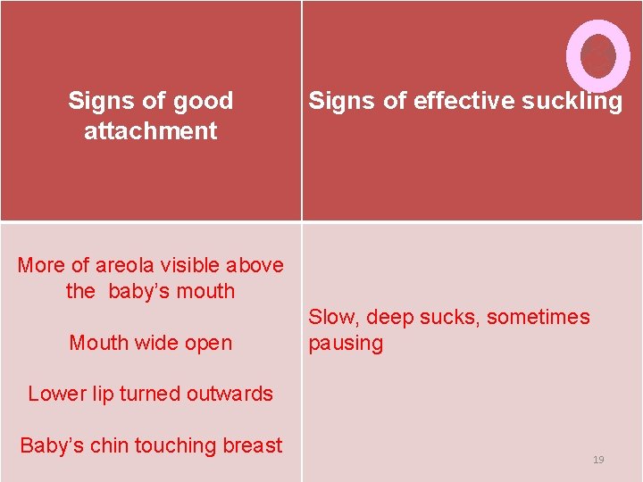 Signs of good attachment Signs of effective suckling More of areola visible above the