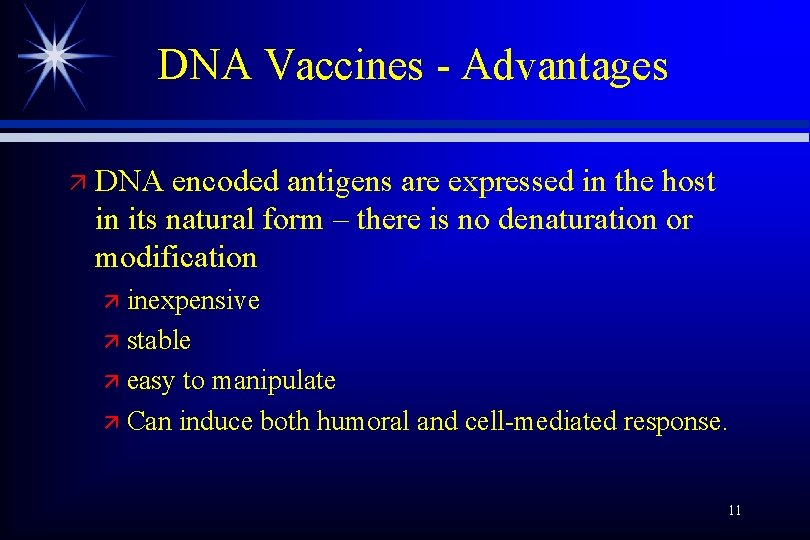 DNA Vaccines - Advantages ä DNA encoded antigens are expressed in the host in