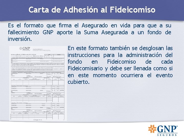 Carta de Adhesión al Fideicomiso Es el formato que firma el Asegurado en vida Carta de Adhesión al Fideicomiso Es el formato que firma el Asegurado en vida