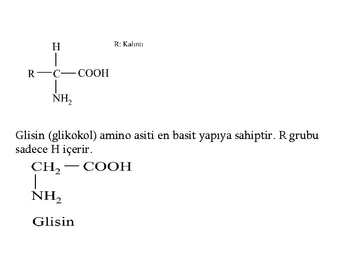 Glisin (glikokol) amino asiti en basit yapıya sahiptir. R grubu sadece H içerir. 