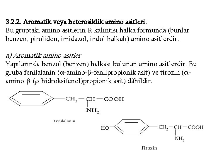 3. 2. 2. Aromatik veya heterosiklik amino asitleri: Bu gruptaki amino asitlerin R kalıntısı