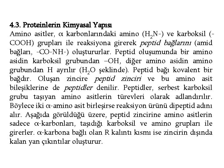 4. 3. Proteinlerin Kimyasal Yapısı Amino asitler, α karbonlarındaki amino (H 2 N-) ve