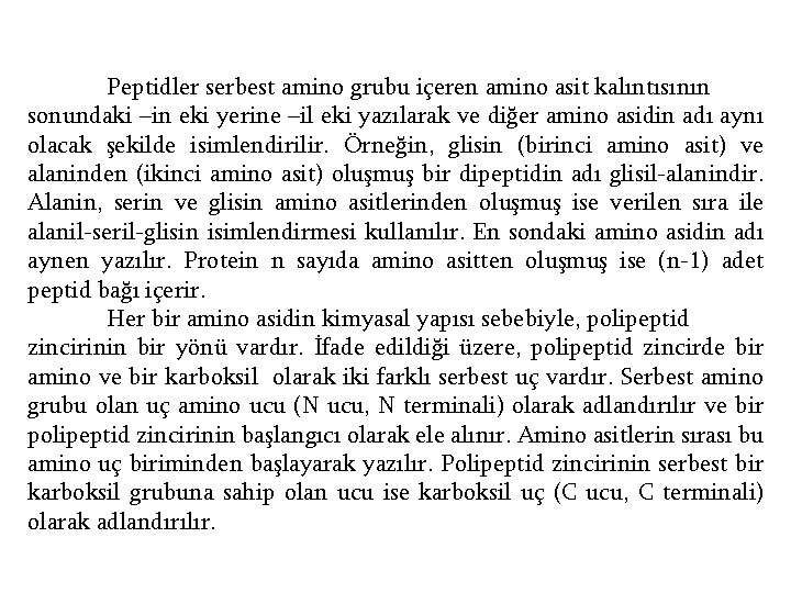Peptidler serbest amino grubu içeren amino asit kalıntısının sonundaki –in eki yerine –il eki