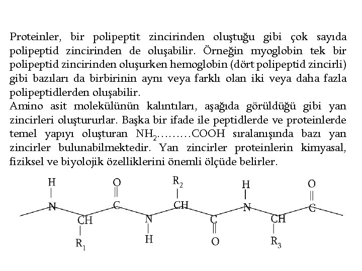 Proteinler, bir polipeptit zincirinden oluştuğu gibi çok sayıda polipeptid zincirinden de oluşabilir. Örneğin myoglobin