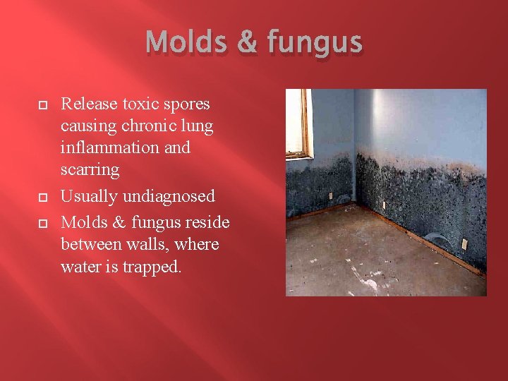 Molds & fungus Release toxic spores causing chronic lung inflammation and scarring Usually undiagnosed