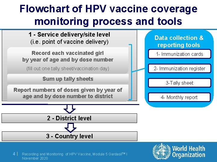 Flowchart of HPV vaccine coverage monitoring process and tools 1 - Service delivery/site level
