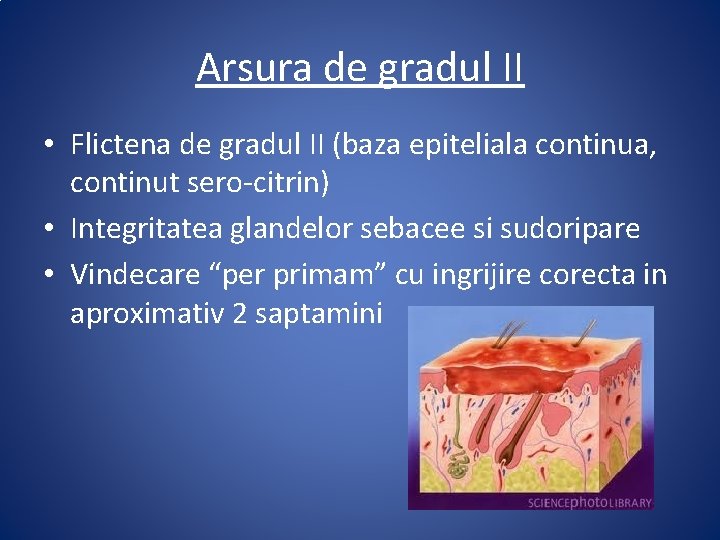 Arsura de gradul II • Flictena de gradul II (baza epiteliala continua, continut sero-citrin)