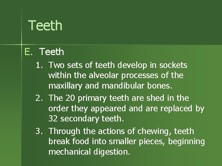 Teeth E. Teeth 1. Two sets of teeth develop in sockets within the alveolar