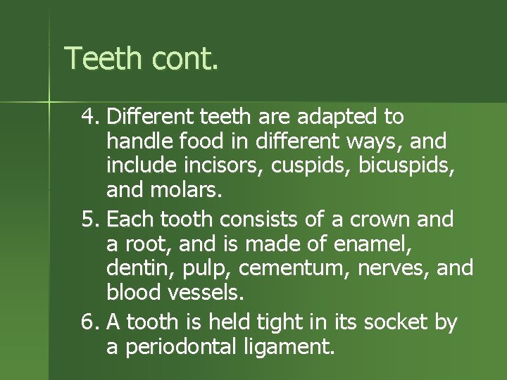 Teeth cont. 4. Different teeth are adapted to handle food in different ways, and