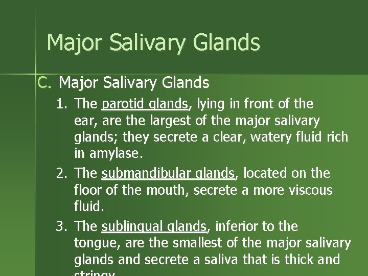 Major Salivary Glands C. Major Salivary Glands 1. The parotid glands, lying in front